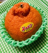 ぽん!