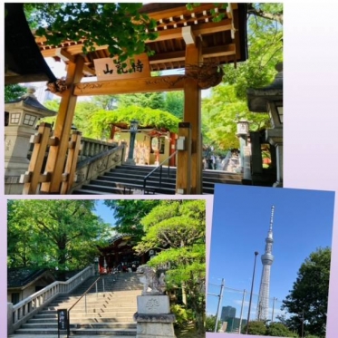 6月もよろしくお願いいたします🥰