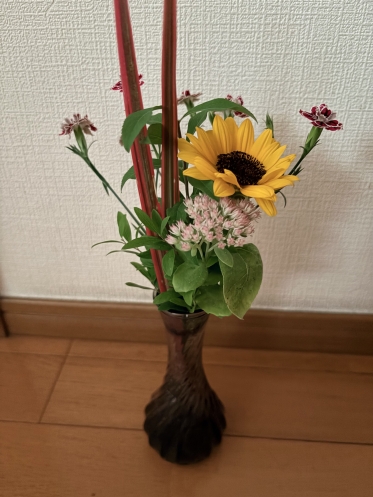 ７月後半の出勤予定日🗓️