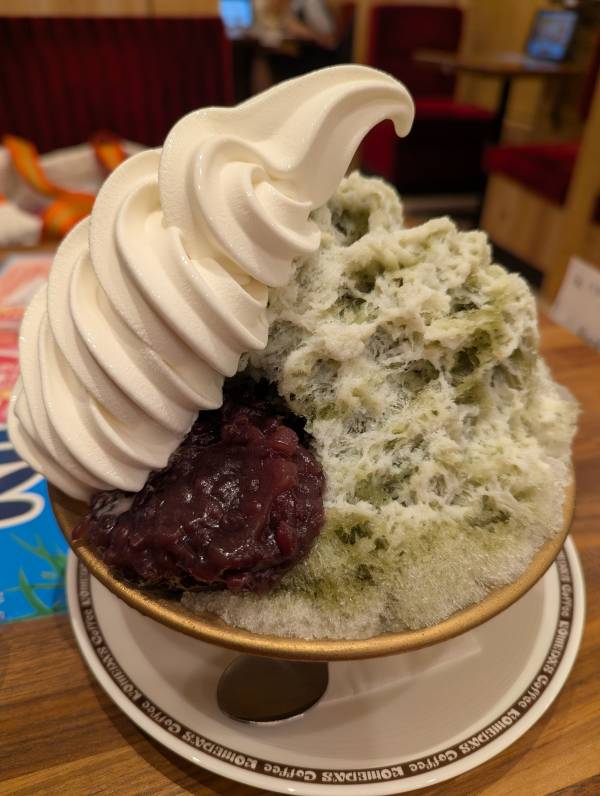 おはようございます(*^▽^*)