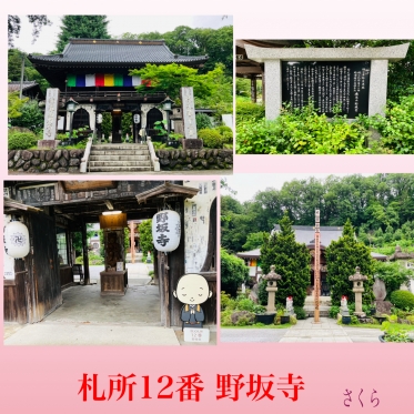 札所巡礼12『野坂寺』📸本日もよろしくお願いいたします😊🌸