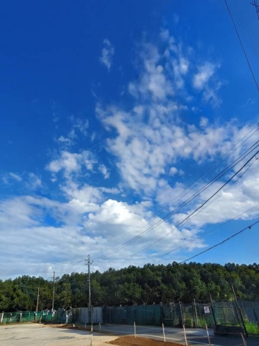 ことみの今日のことワザ【7月31日】🌞