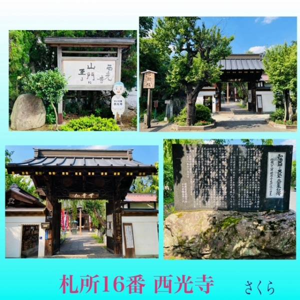 札所巡礼16『西光寺』と、明日出勤致します😊🌸