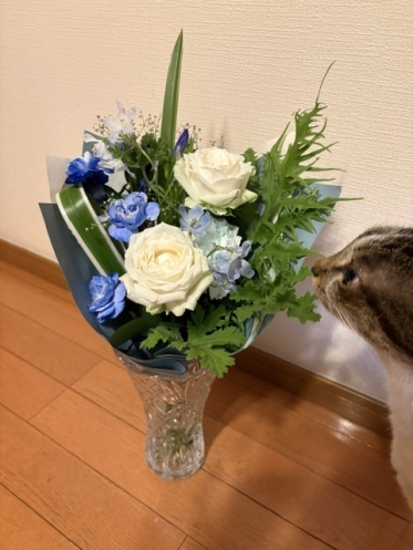 今週ありがとうございます