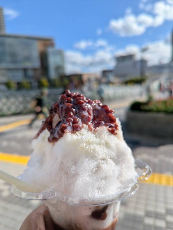 こんばんは(*^▽^*)