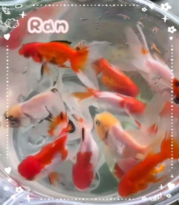 🌈 出勤しました 🌈