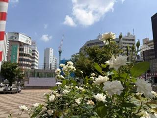 わかです。