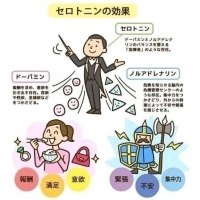 いちか