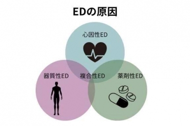 EDの原因は自立神経の乱れ