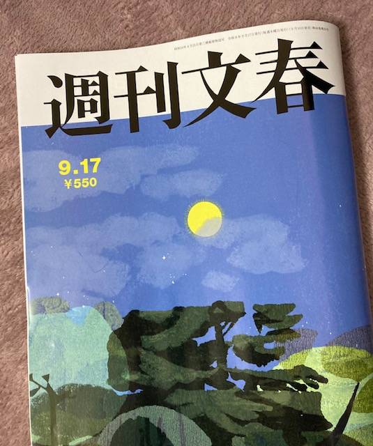 グラビアがね