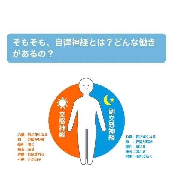自立神経、ととのえてますか?