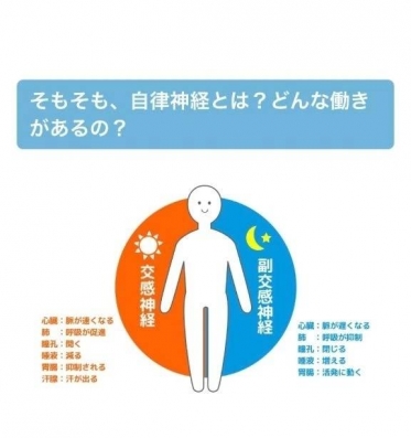 自立神経、ととのえてますか?