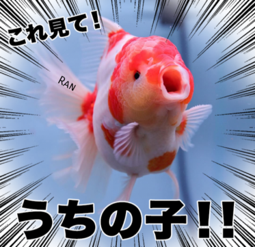 🌈 出勤しました 🌈