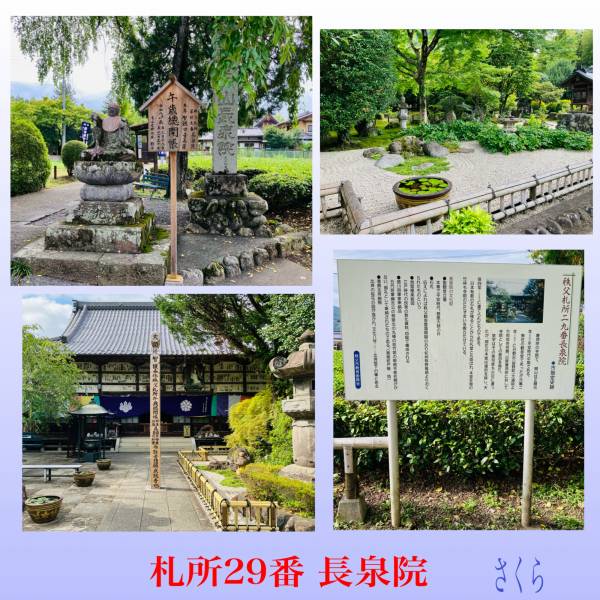 札所巡礼『長泉院』と、来週の出勤予定です😊🌸