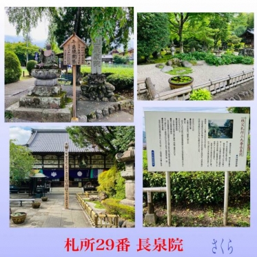 札所巡礼『長泉院』と、来週の出勤予定です😊🌸