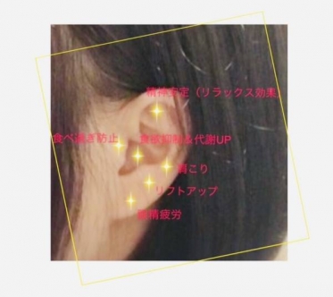 耳つぼマッサージと、再来週のお知らせ💁🏻‍♀️