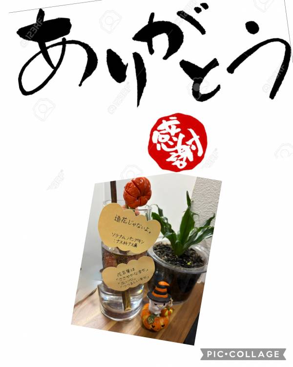 9月ありがとうございます