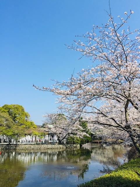 ちはるです(*ﾟ∀ﾟ*)