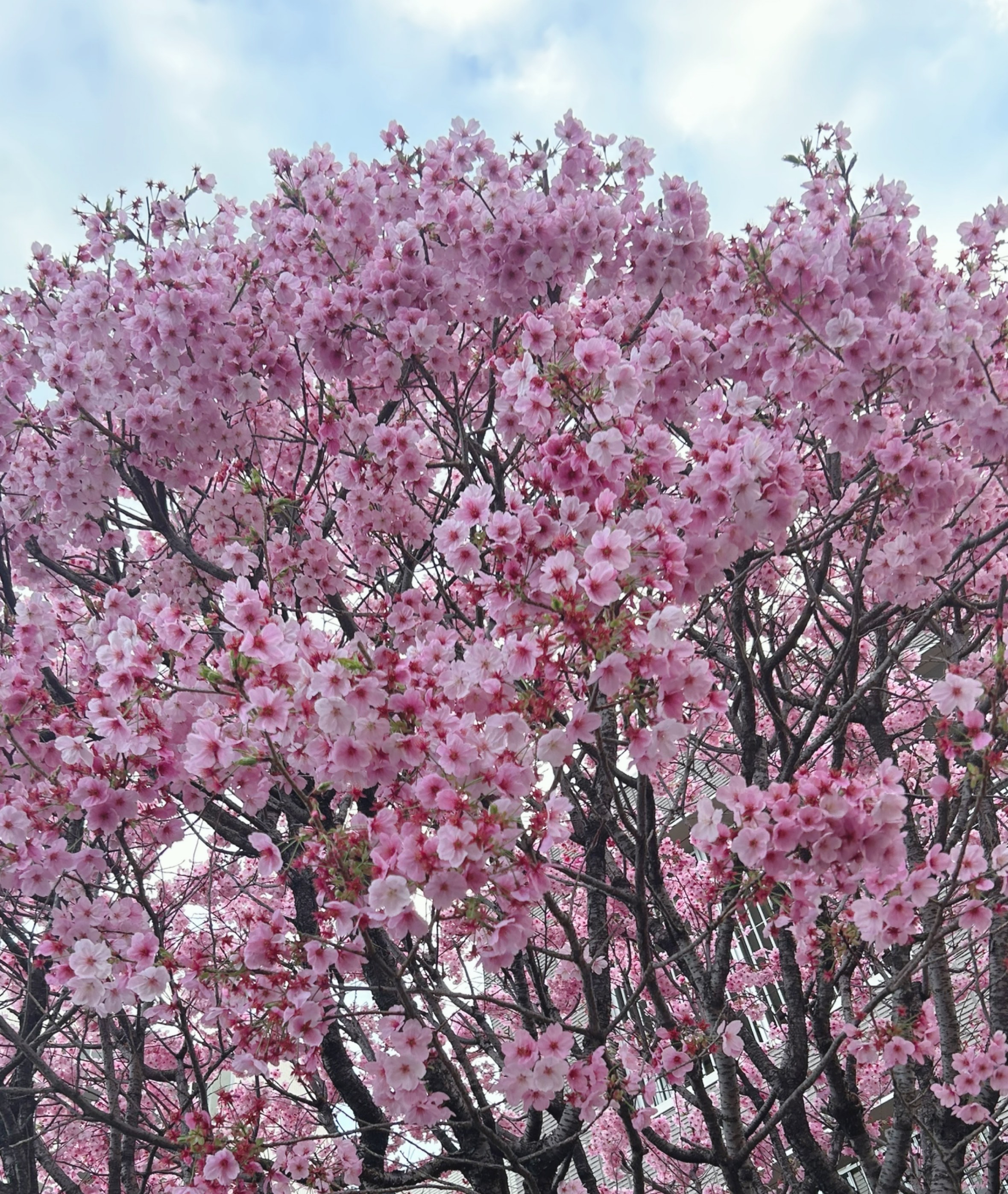 出勤します✨