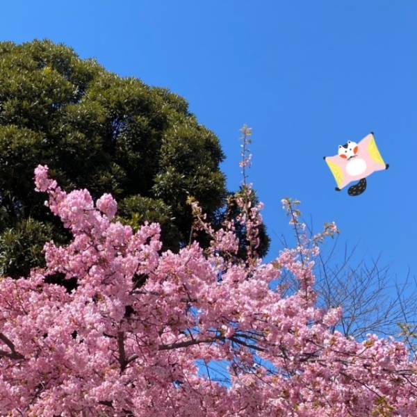 シフト出しました🌸