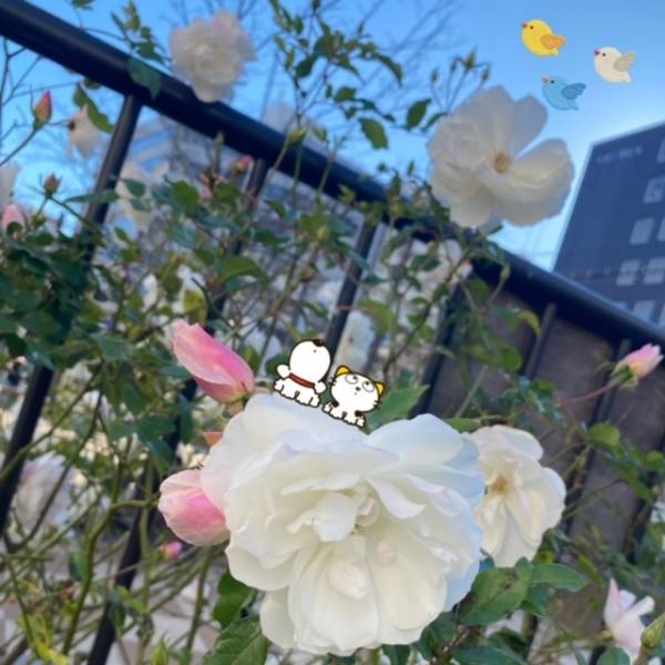 ありがとうございました💝