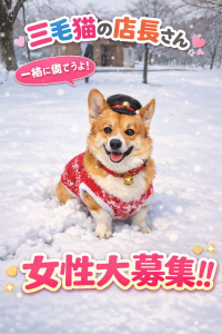 【三毛猫】てん店長