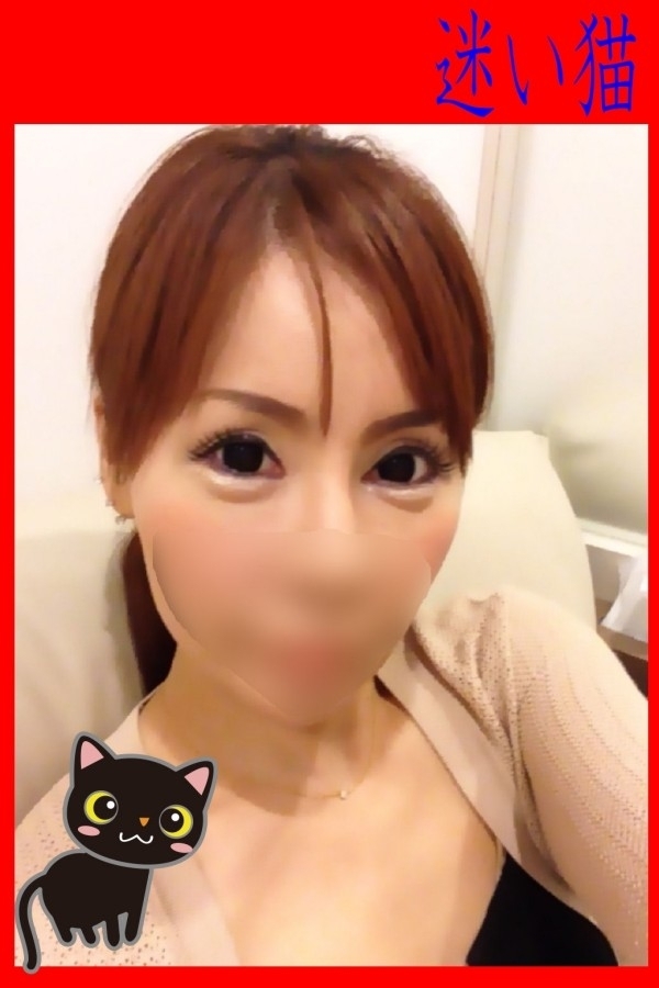 【三毛猫】みーちゃん