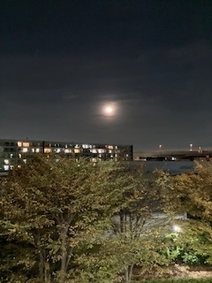 昨夜の空模様🌕🙄