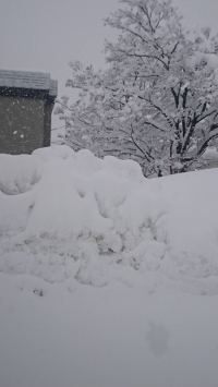 私の実家は…❄️⛄️❄️