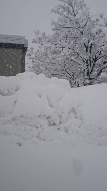 私の実家は…❄️⛄️❄️