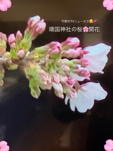只今、コーヒータイム中♪(๑ᴖ◡ᴖ๑)♪
