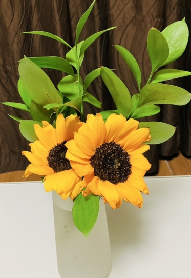 今日の自宅のお花でーす♪♪