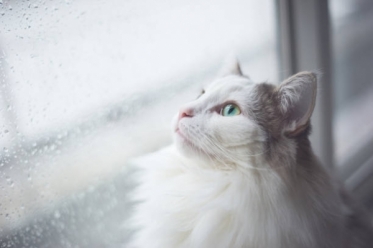 雨☔️…明日も雨☔️…💦