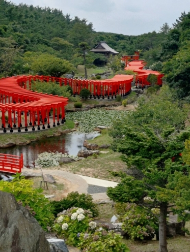 高山稲荷の千本鳥居⛩️