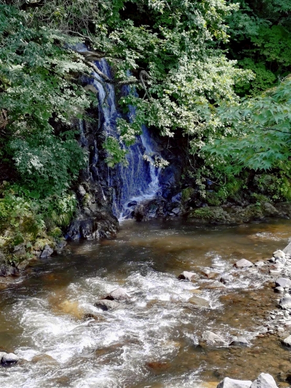 本日はお声かけて頂き、ありがとうございました。♪(๑ᴖ◡ᴖ๑)♪