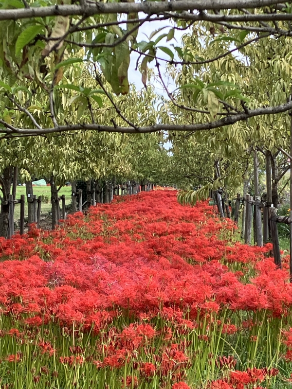 お休みの日の１枚♪ お見事❣️😃👏