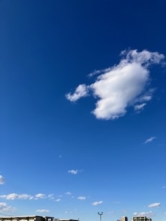 今日も良いお天気♪