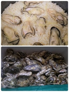 北海道サロマ湖の牡蠣が届きました♪(๑ᴖ◡ᴖ๑)♪