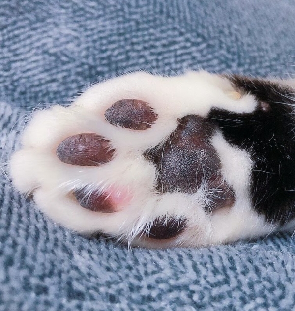 これ？な~んだ？(笑笑)