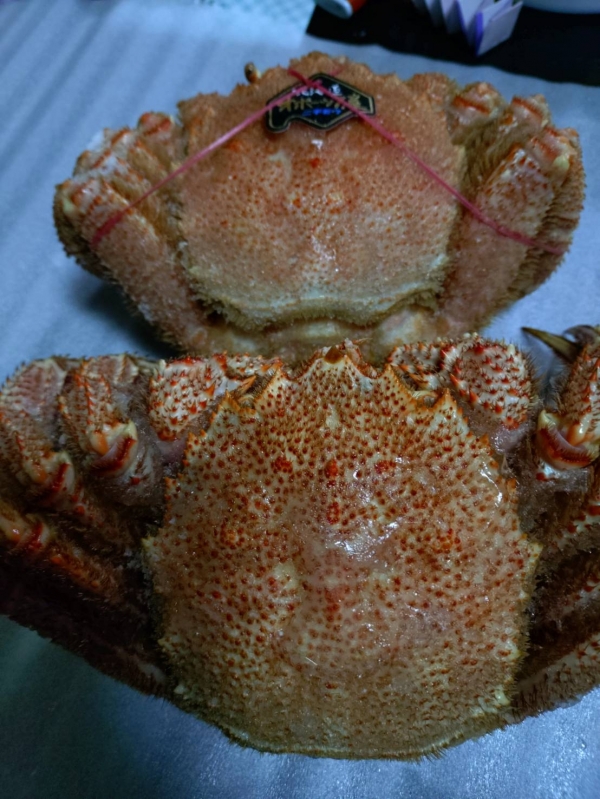 北海道から届きました♪(๑ᴖ◡ᴖ๑)♪