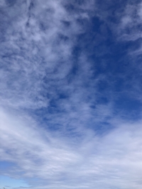 今日も快晴♪(๑ᴖ◡ᴖ๑)♪