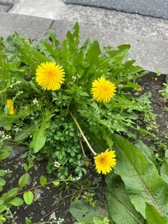 本日も宜しくお願い致します。٩(๑❛ᴗ❛๑)۶