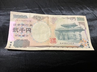 見て見て~発見！💡