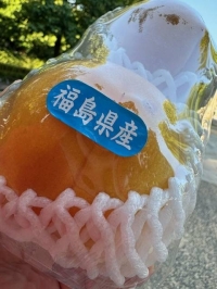 黄金桃🍑✨