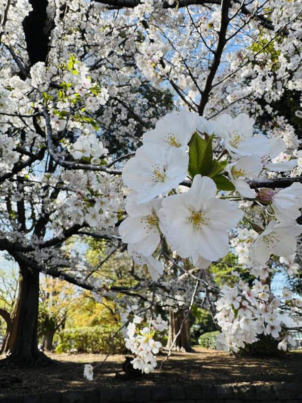 日記を読んでくれてありがとうございます