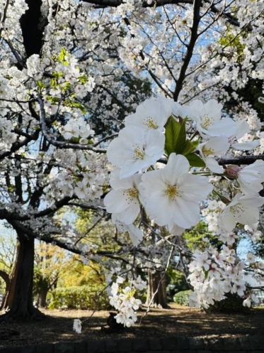 日記を読んでくれてありがとうございます