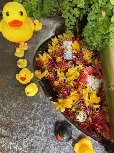 こんにちは❤️