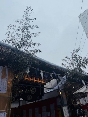 シトシト降ってます☔️
