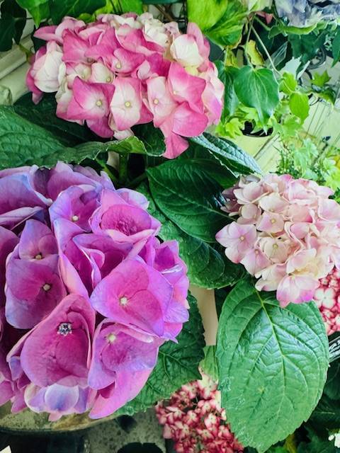 ありがとうございました♡