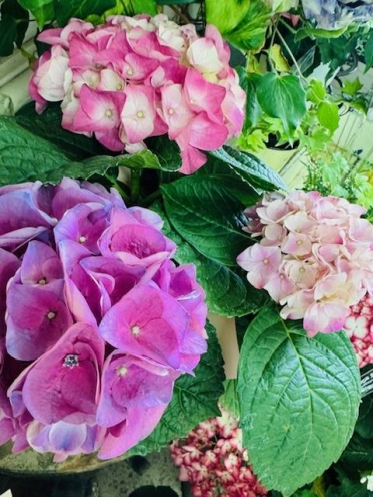 ありがとうございました♡